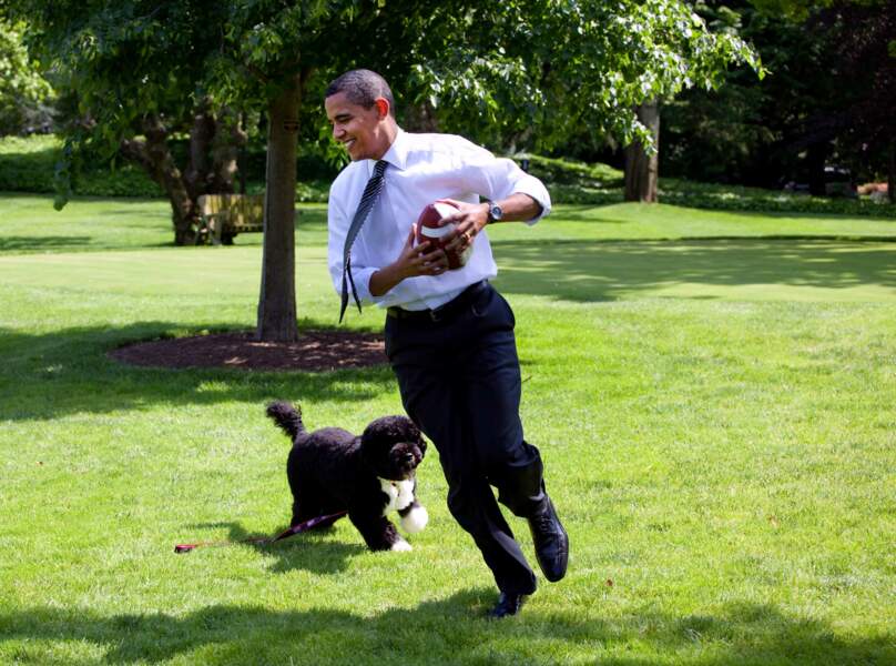 Barack Obama jouant avec Bo en 2009