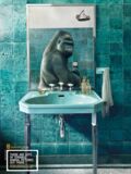 Le gorille dans la salle de bains