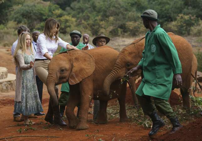 Melania Trump a donné le biberon aux éléphanteaux.