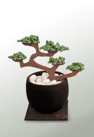 Original, le bonsaï en chocolat de la Maison LAC !
