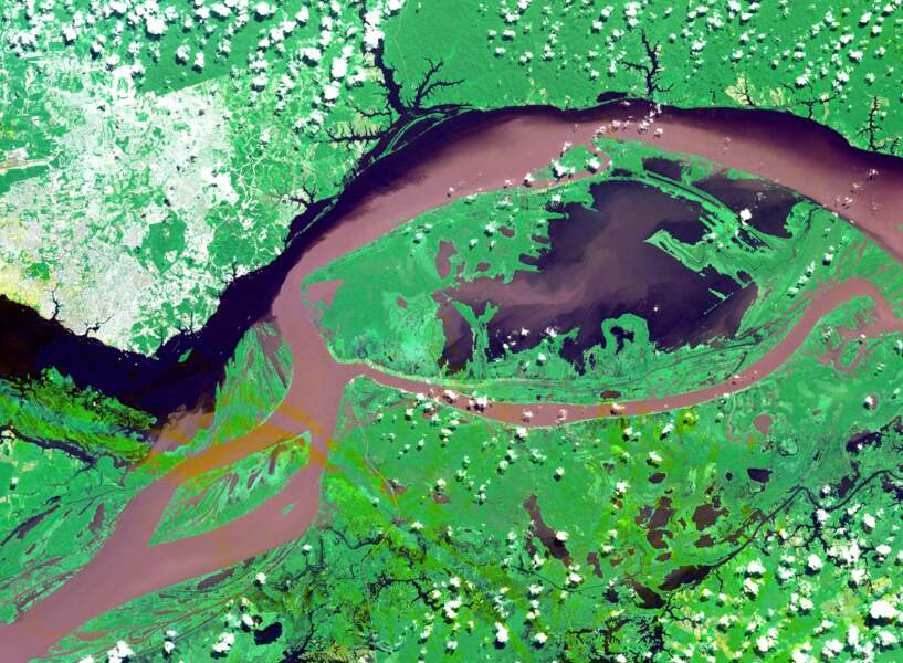 La rencontre de l'Amazone et du Rio Negro à Manaus, dans la jungle brésilienne