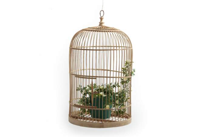 Une cage à oiseaux
