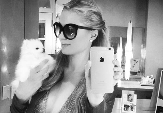 Paris Hilton : pour les vidéos de ses 3600 chiens. On vous le promet, ça vaut le détour 