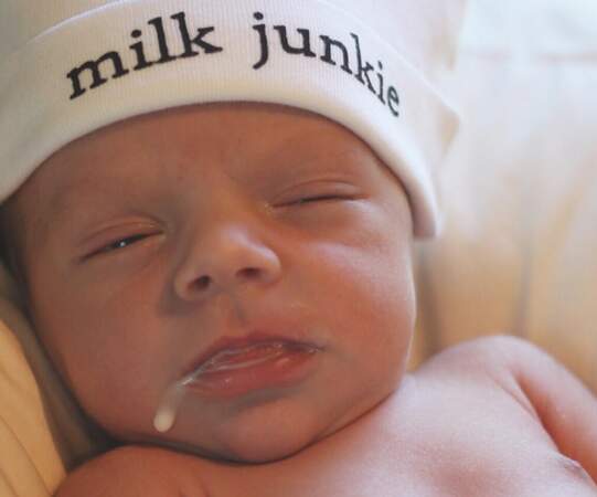 Milk junky