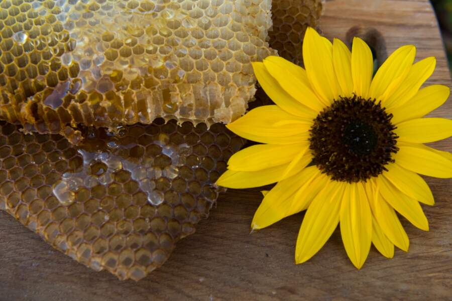 Adopter les produits de la ruche