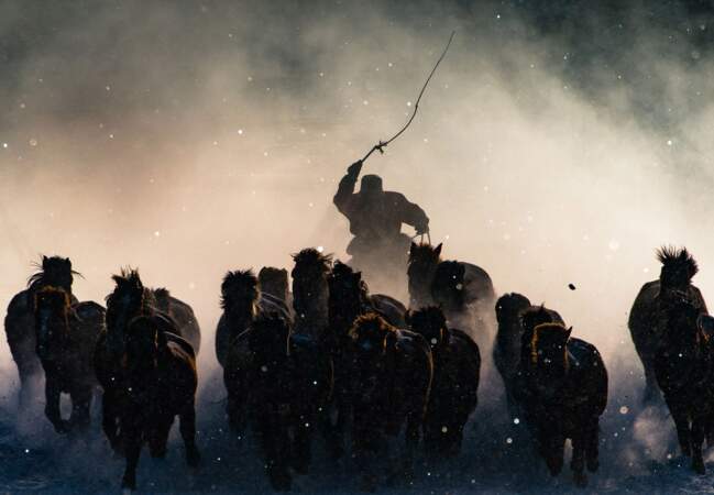 Cavalier mongol en hiver, Mongolie