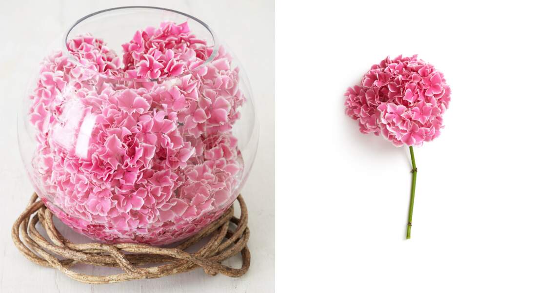 Art floral : une boule d'hortensias