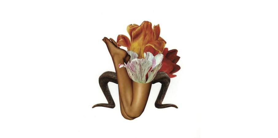 La Tulipe pour le signe astrologique du Bélier