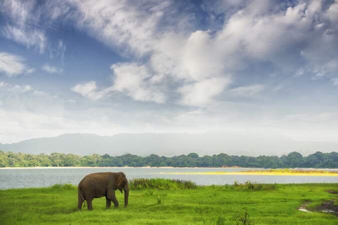 Sri Lanka, le pays à visiter en 2019