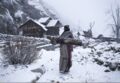 Himachal Pradesh, India, une vieille femme porte du bois sur son dos
