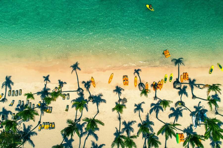 Jeux d’ombres sur les palmiers de la station balnéaire de Punta Cana (République dominicaine)