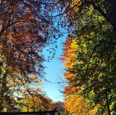 Ciel bleu + couleurs d'automne = <3