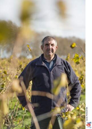 Francis, 60 ans, viticulteur (Aude)