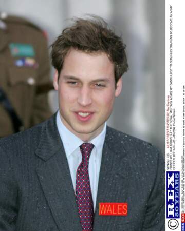 Le prince William, 2006