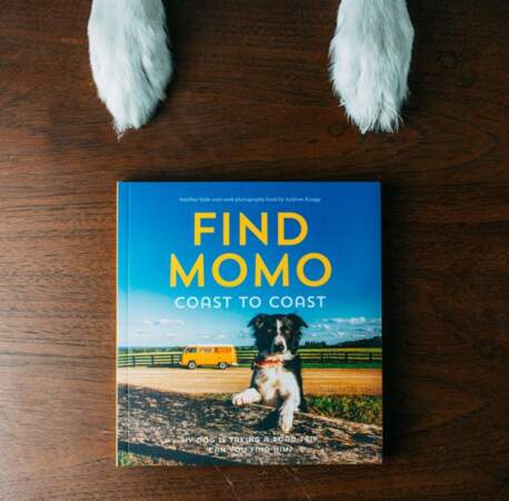 Le livre de Momo 