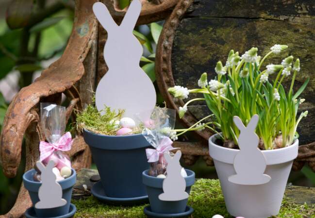 Des petits lapins décoratifs
