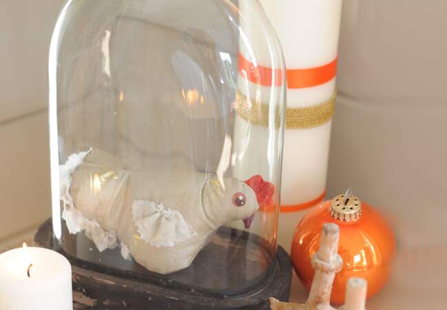 Une poule sous son globe en verre