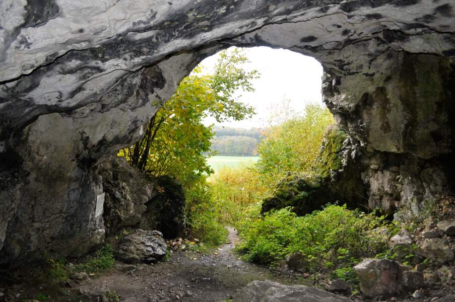 Grottes de la période glaciaire dans le Jura souabe, Allemagne