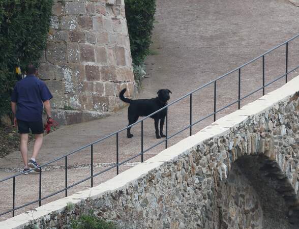 Nemo, le chien des Macron en liberté dans la propriété du Fort de Brégançon