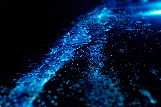 Les vagues bioluminescentes
