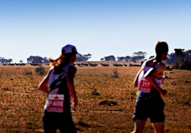 3 – Le Big Five Marathon en Afrique du Sud