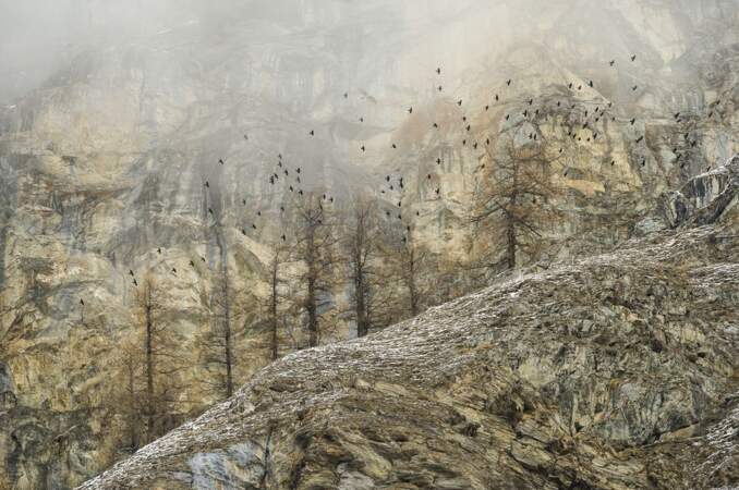Premier prix catégorie "paysages", Stefano Unterthiner