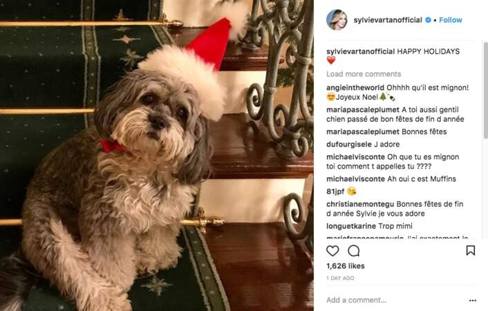 Sylvie Vartan fête Noël avec son chien adoré
