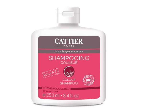 Shampooing Couleur de Cattier