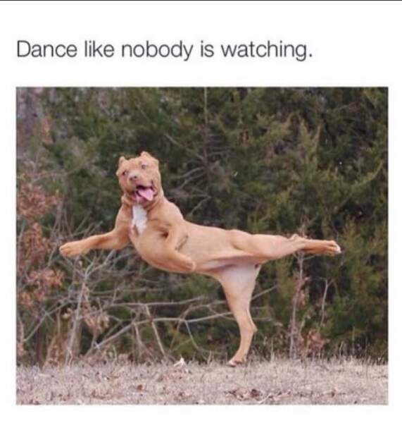 Danser comme si personne ne regarde