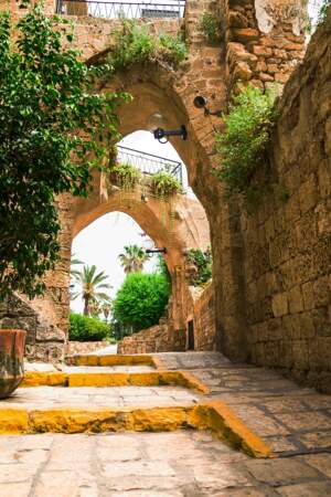 Vieux Jaffa