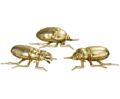 scarabées dorés