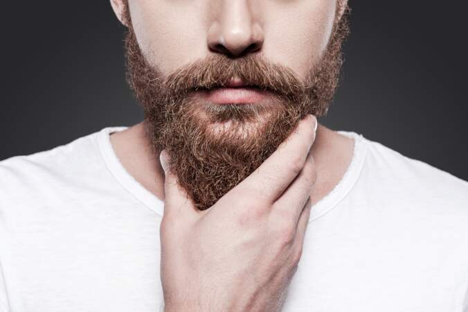 La barbe des hommes