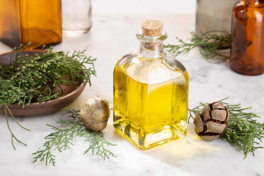 L’huile essentielle de cyprès vert