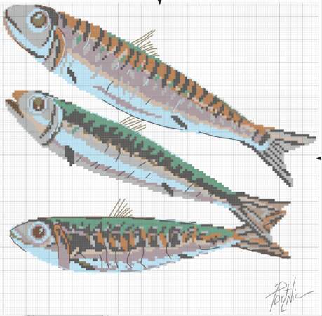 Les sardines