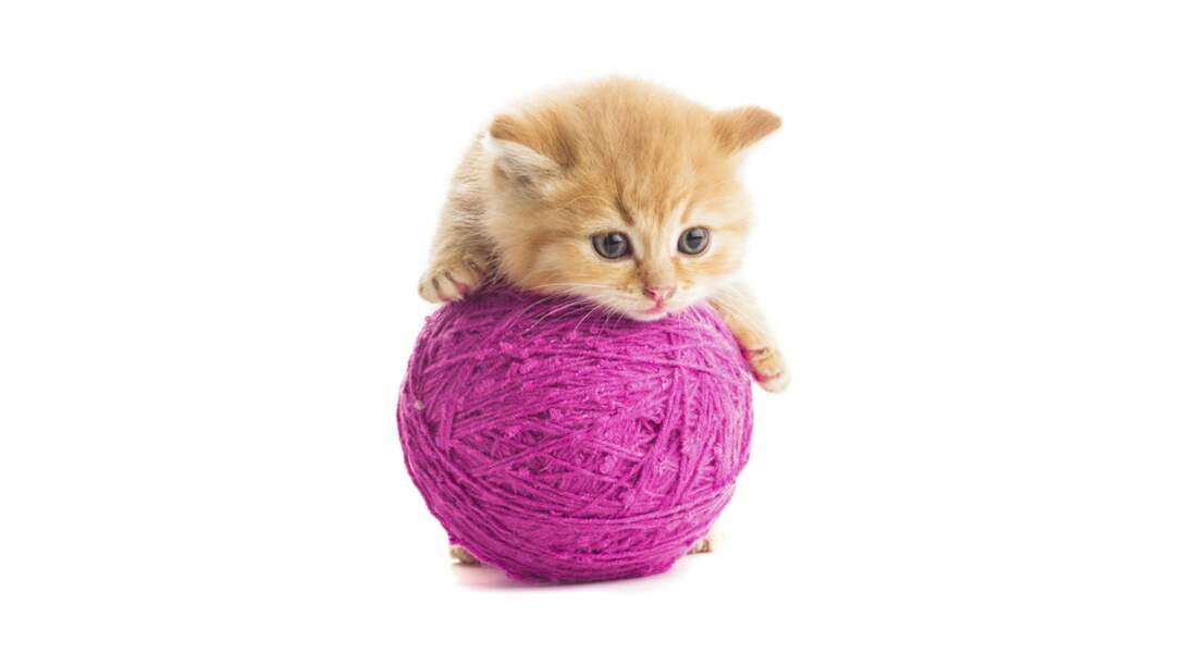 Comment tricoter en rond facilement ?