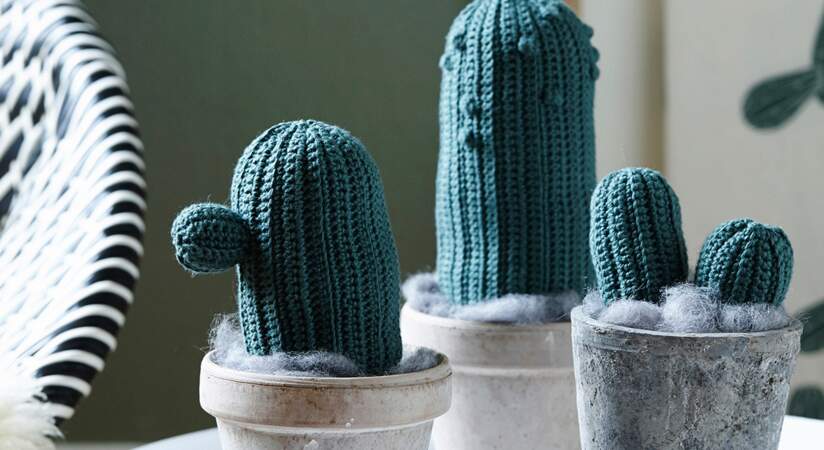 Cactus tous doux... à fabriquer !
