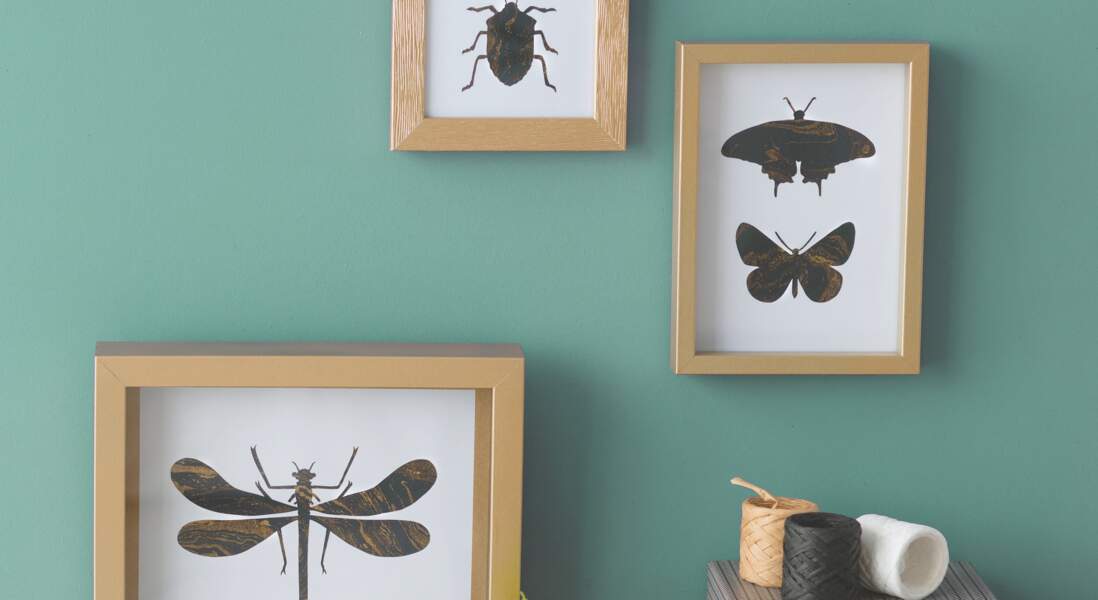 Des insectes en papier pour mes murs