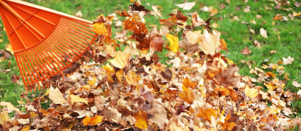 Comment recycler les feuilles mortes de son jardin ?