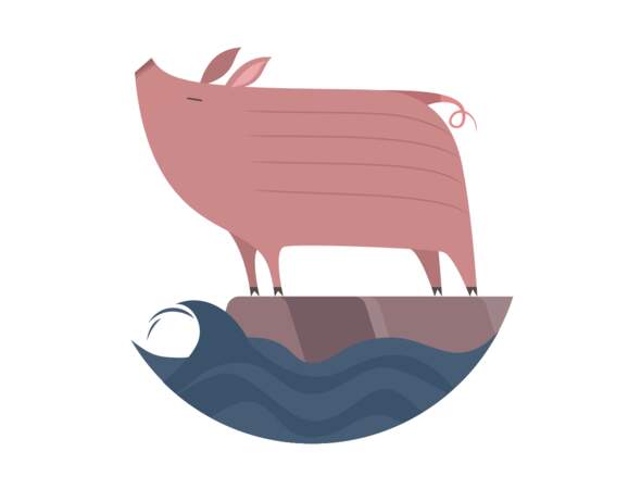 Horoscope chinois 2018 : prévisions pour le Cochon