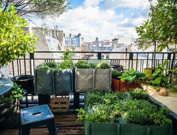 Balcon, terrasse, jardin : comment créer son potager facilement ?