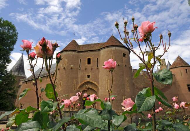 La roseraie du château d’Ainay-le-Vieil 