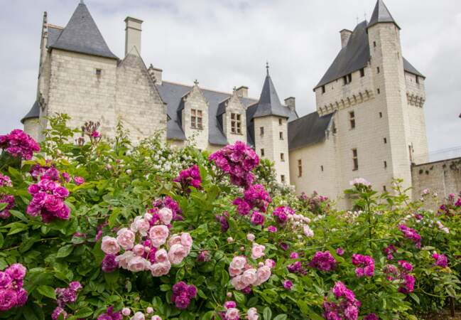 Le conservatoire de roses parfumées au château du Rivau 