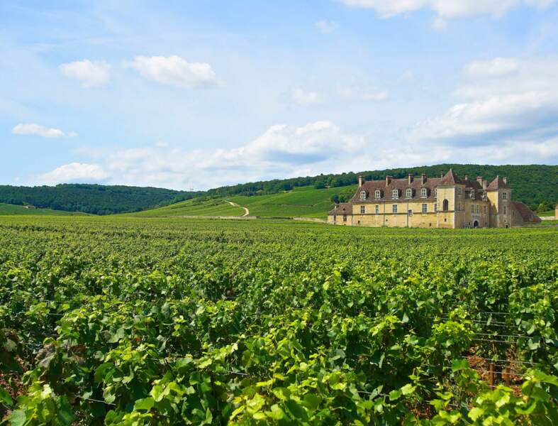 Bourgogne, sur la route des vins