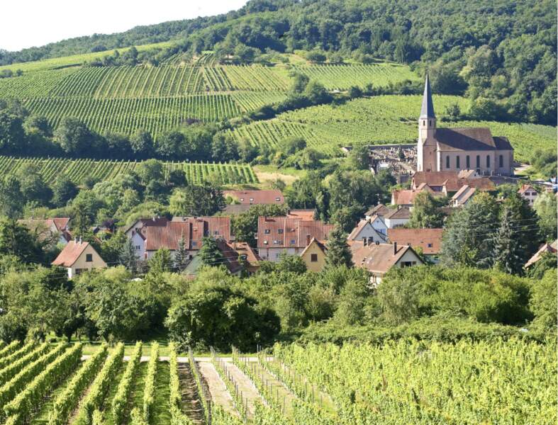 De vignes en villages, une balade alsacienne