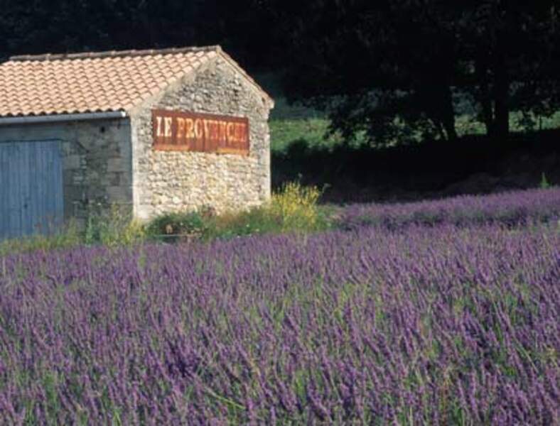 A Manosque, pause en Provence