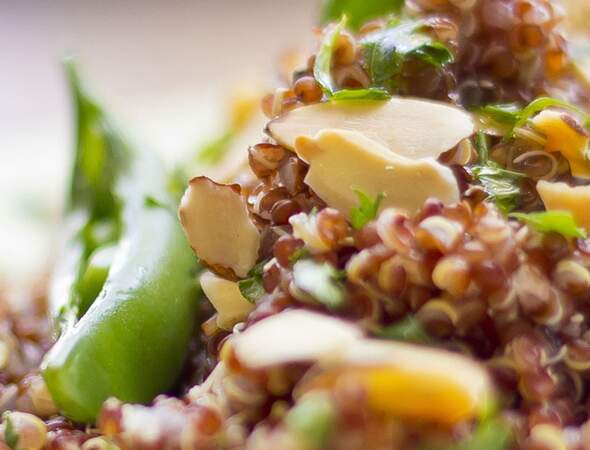 Salade de poulet, boulgour et quinoa aux herbes