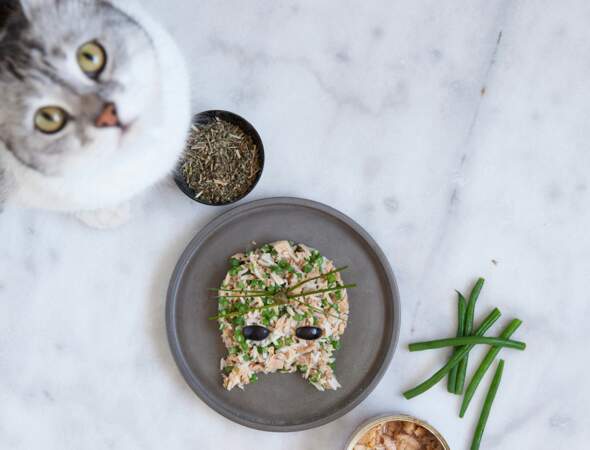 Recette pour chat : salade de riz au thon