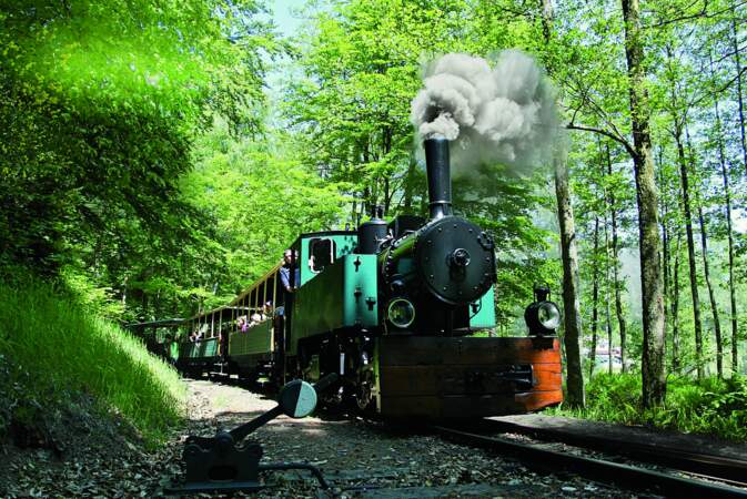 Le train forestier des Vosges