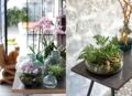 Comment fabriquer un terrarium pour orchidée ou fougère ?