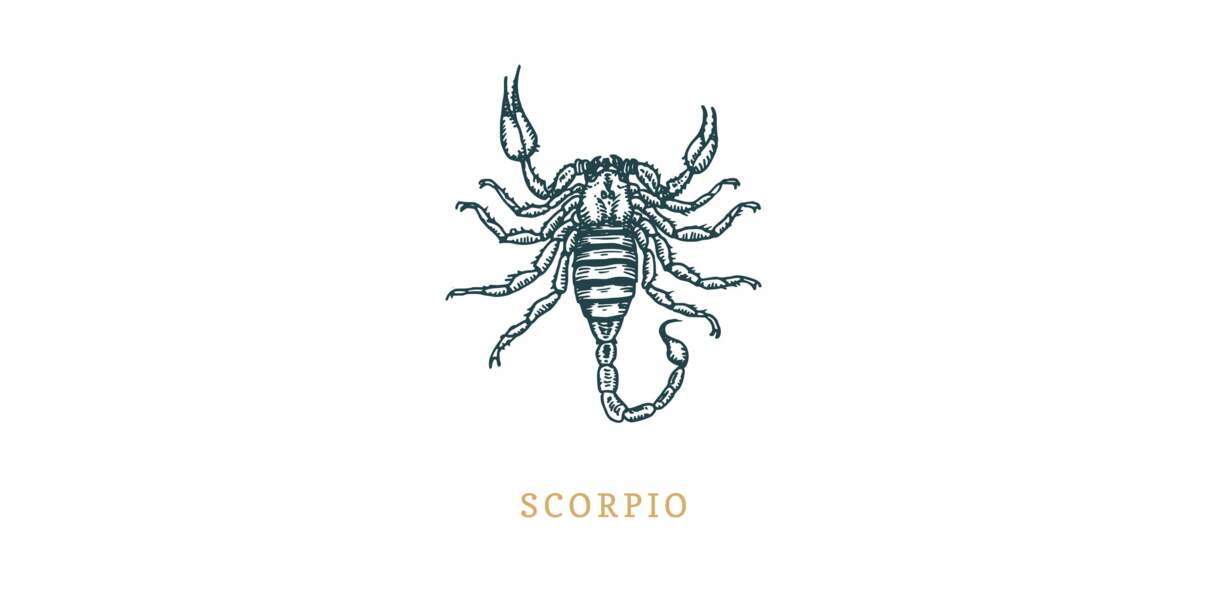 Signe astrologique du Scorpion : vos compatibilités avec les quatre éléments